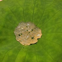 松川 - 