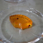 嘯月 - 「涼風」　琥珀羹と大納言納豆