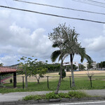 すずめのお宿 - 