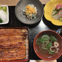 うなぎ 目白ぞろ芽 - 