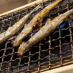 三田魚介センター - 
