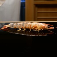 鮨 あらい - 脱皮車海老⤴️