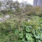 フレンチビストロ ル ドール - 12階の日本庭園