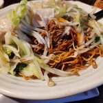 サウスヴィラ - 麺のアップです。