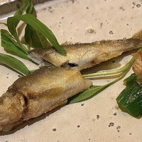 鮨　日本橋　鰤門 - 