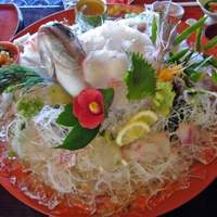 魚庵 千畳敷 - 鯛の活き造り