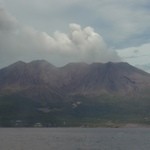 （有）柳川氷室 - 