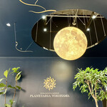 Cafe Planetaria - 店内の月のオブジェ