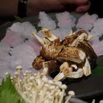 焼鳥・元気 - 今からお鍋に～