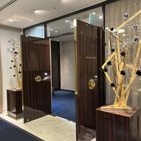 SALONE 2007 - 