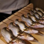 西麻布 清水 - 天然の鮎