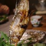 西麻布 清水 - 鮎(リフト撮影)