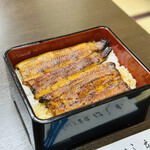 Unagi Hashimoto - 