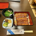 Unagi Hashimoto - 