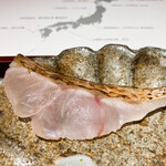 馳走 啐啄一十  - 