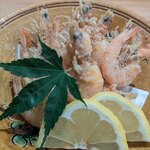 酒肴吉井 - マエビ唐揚げ