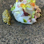 レヴォ - 水タコ（富山湾）