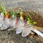 レヴォ - アジ（富山湾）