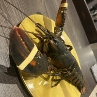 四ツ橋・新町 牡蠣と肉たらしビストロAKIRA - 