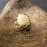 プレゼンテ スギ - 