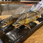 天然鮎の塩焼き