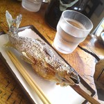 船場亭 - 子持ち鮎の塩焼き800円