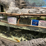 道の駅 みなかみ水紀行館 - ちょっとした水族館を併設しています。