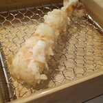 天ぷら わがた - 海老。プリップリでめちゃ美味しい。尾を広げているのも好ポイント