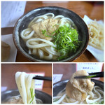 Hakata Sanuki Udon - ＊麺はさぬきと店名に入るだけ、少し太めで本場ほどではないですけれどコシがあります。 量が多くて。(^◇^;) ＊きつね揚げは「すし揚げ」程度の大きさで、稲荷と同じ品かも。