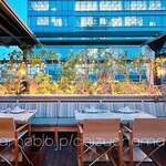 BALCONE SHIBUYA - 