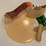 サーラ アマービレ - 