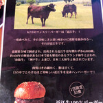 Burger Revolution Tokyo Wine & Bar - 