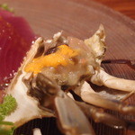 トラットリア ディペッシェ パッパーレ イタリア - Jul, 2013