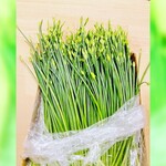 高知 アテと酒 ほたえる - 