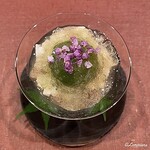 御料理 寺沢 - 蛸と山芋の微塵切りに青梅と花穂紫蘇の三杯酢のジュレがけ