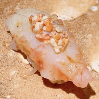 恵比寿 鮨 藤 - 