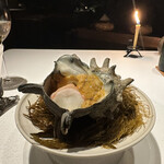 レフェルヴェソンス - 