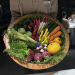 レフェルヴェソンス - 