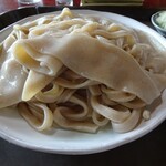 手打ち・つけ汁 うどん処 てる井 - うどん