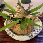 山玄茶 - 安曇川の鮎　生姜醤油焼き