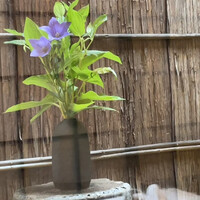 山玄茶 - 