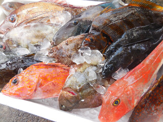 Uodon Zen - 鮮魚セット