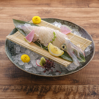 生け簀から釣り上げ提供する最高鮮度の活魚・イカやカワハギなど