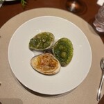 スガラボヴィー - ハマグリ