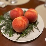 スガラボヴィー - 山梨 一宮町 宝桃園 加納岩白桃