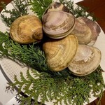 スガラボヴィー - 千葉　大原漁港のハマグリ