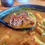 Toyooka Sakusaku Udon - しっかりと美味いハンバーグ