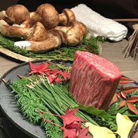 USHIGORO S. GINZA - 