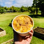 Kahuku Farms - 料理写真:アサイボール