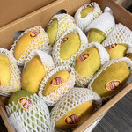 パーク ラホーリー レストラン - マンゴー5kg 6000円